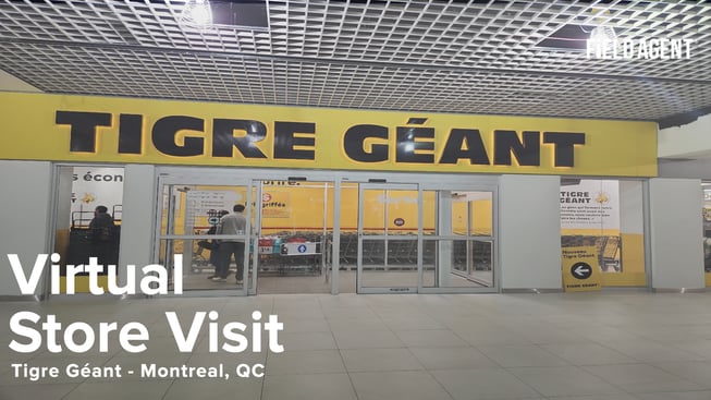 Tigre Geant.001