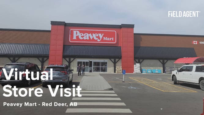 Peavey Mart.001
