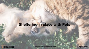 Pets.001